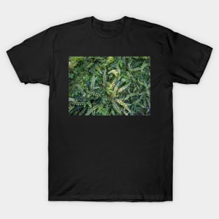 Kiwakiwa fern. T-Shirt